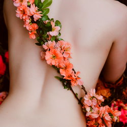 Nicole Vaunt photo