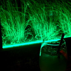 ▀▄▀▄»»»»s»»v»»S»»s»»»»▄▀▄▀ photo