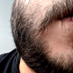 beard photo