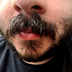 beard photo