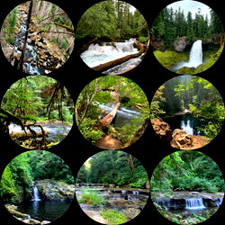 Serenity Smith photo