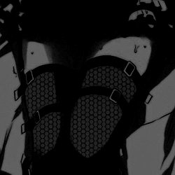 ✩ photo