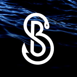 Salty Boys photo