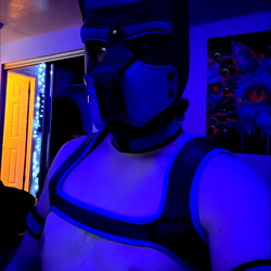 Pup Roxo photo
