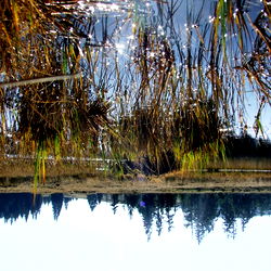 Melissa Cano's OnlyFans Catalogue