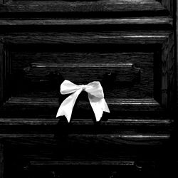 𝑬𝒔𝒕𝒉𝒆𝒓 ♡ photo