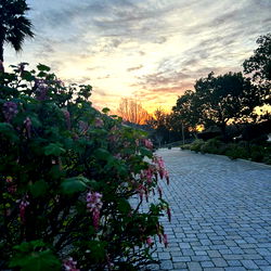 Freyja: The Ultimate Streetwear Stylist on OnlyFans