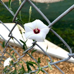 Discover Ginger_angel1177's Sensational OnlyFans Catalogue: Top Model