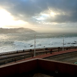 Caribbean Cinnamon photo