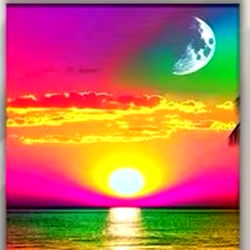 ★ Reyna Rockwell ★ photo