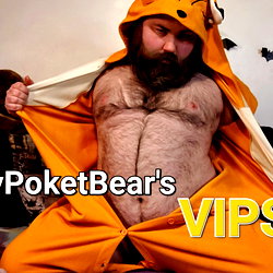 Mr Pocket Bear photo