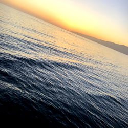 Adonis Wolfe | The Enigmatic Beauty of OnlyFans