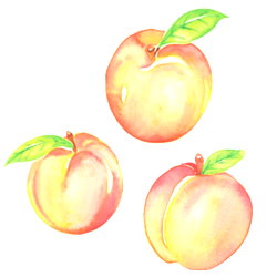 BabyPeach photo