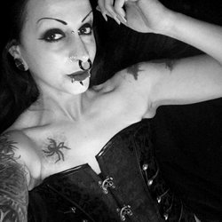 Vixen Ravenous photo