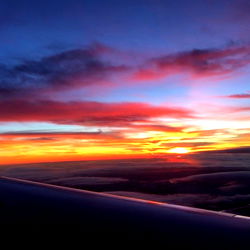 Emma Sirus | Your Ultimate Seduction Destination on OnlyFans