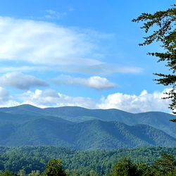 Short but thick photo