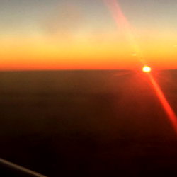 Dylan ONeill photo