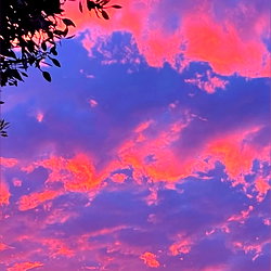 skylea🤍 photo