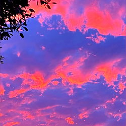 skylea🤍 photo