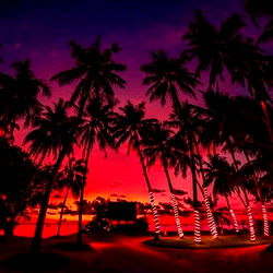 Lilijunex's Official OnlyFans Catalogue