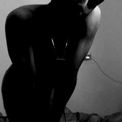 Eastern phoenixx photo