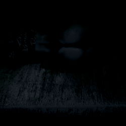 The Real Fyebottom - Model Page