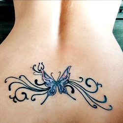 Asian Butterfly Kitten 💋👅💦 photo