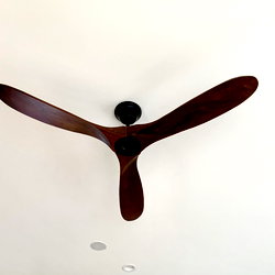 Arc Electric photo