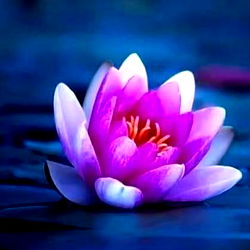 Lola's Enticing OnlyFans Catalogue