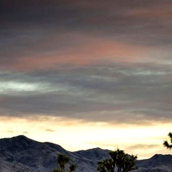 Aiden Flynt: Premium OnlyFans Top Model, Your Ultimate Entertainment