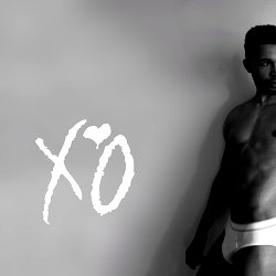 Zakaria XO photo