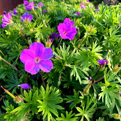 Mándity Izabella - Stunning Model with a Beautiful Soul