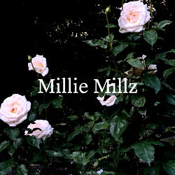 Millz - Sensual Content for Discerning Connoisseurs