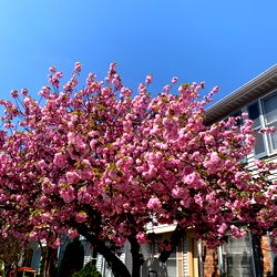 Explore the Passionate World of Rach Kane on OnlyFans