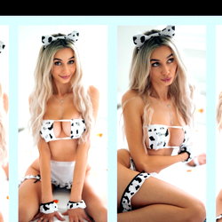 Zara🐱 photo