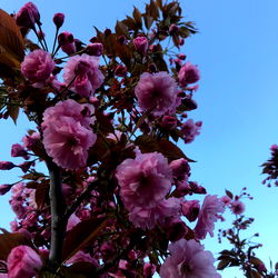 🍭Candy_bbb🍓 photo