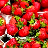 Strawberry photo
