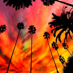 Ms. Bush โกโฅ FREE PAGE โกโฅ photo