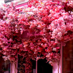 Melissa Cano's OnlyFans Catalogue