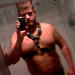 Daddy Bear photo