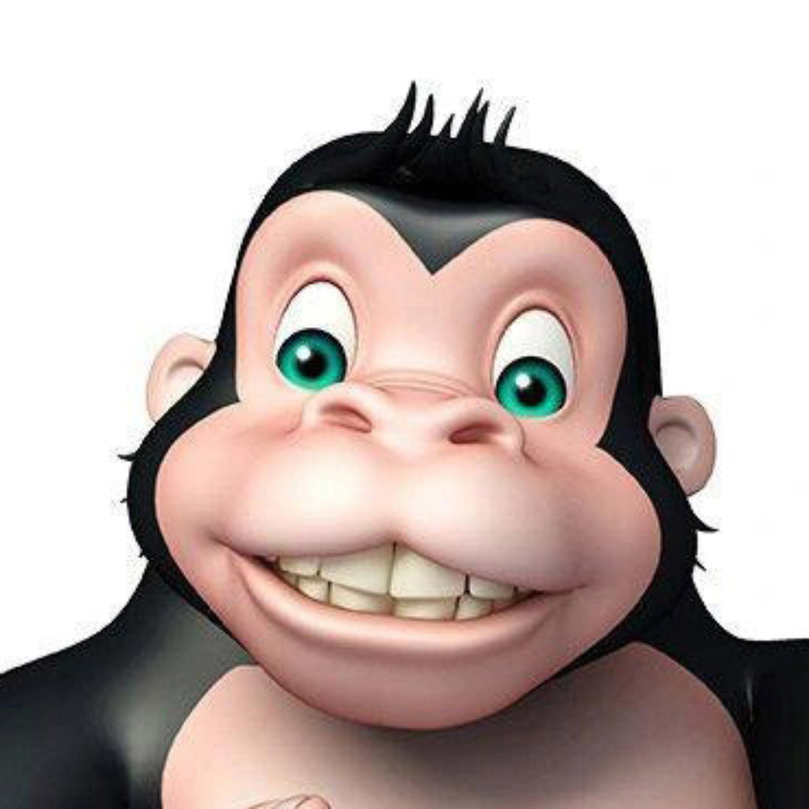 TheWebGorillas photo