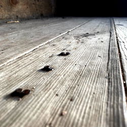 Stella's Exclusive onlyfans: Intimate & Engaging Private Encounters