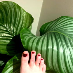 Unmissable Moments with the Seductive Camel toe x - Germany's Ultimate