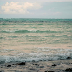 Cherryxoviolet ♡ photo