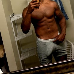 Gastallion photo