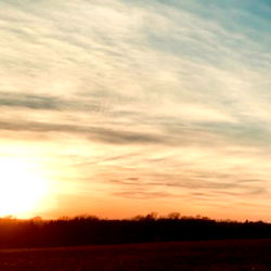 🇺🇦 Ande 🇺🇦 photo