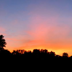 RayRay's OnlyFans Catalogue - Unleashing Passion and Creativity