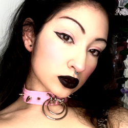 yasmanian_devil photo