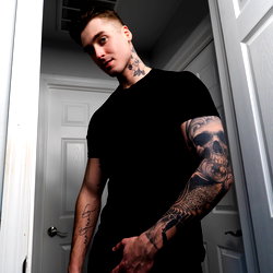 Shad photo
