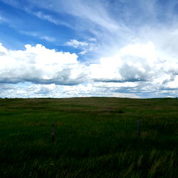 Nate - Alberta's Top Onlyfans Model